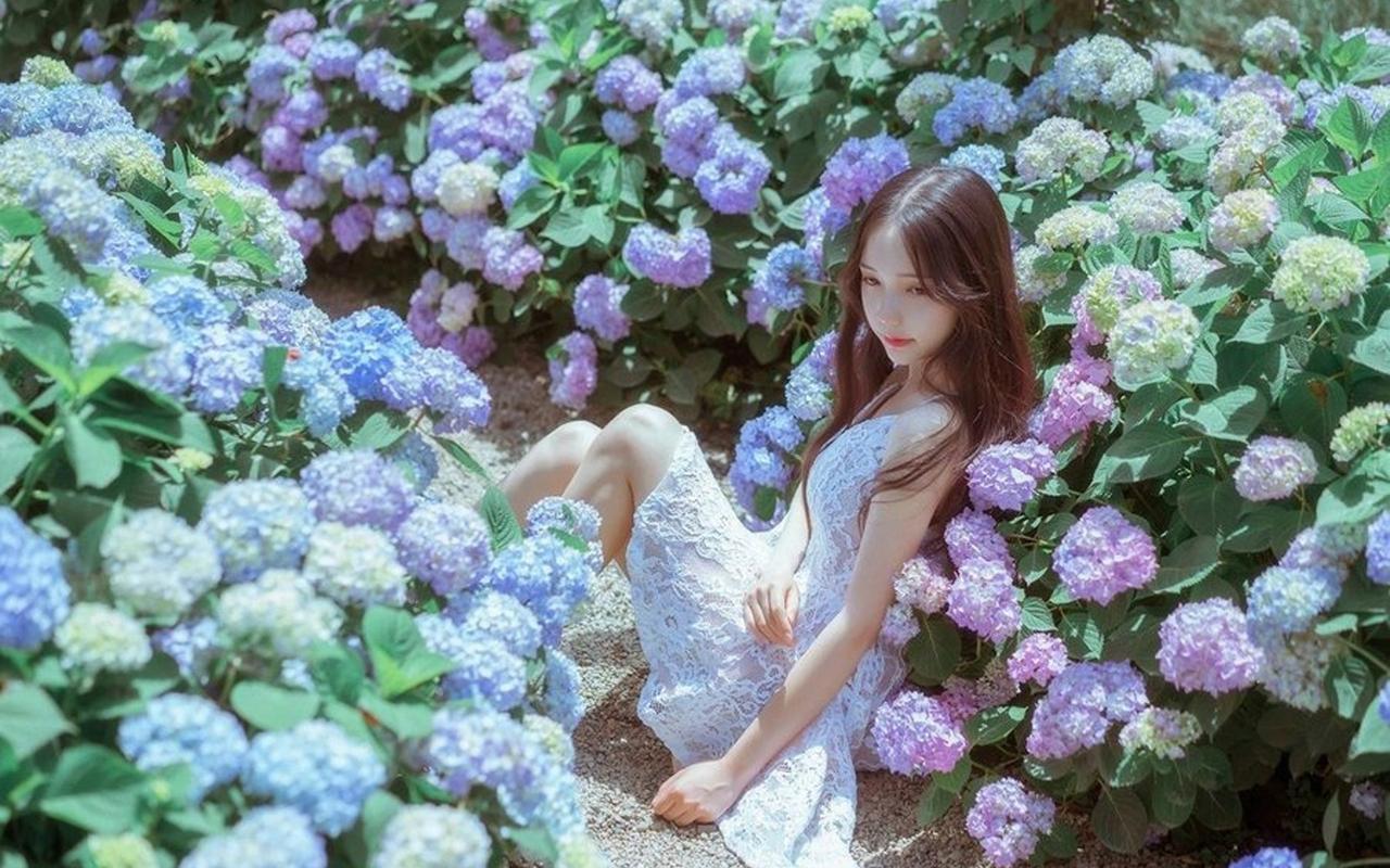 香港青年国际法律人才“带路行”活动启动